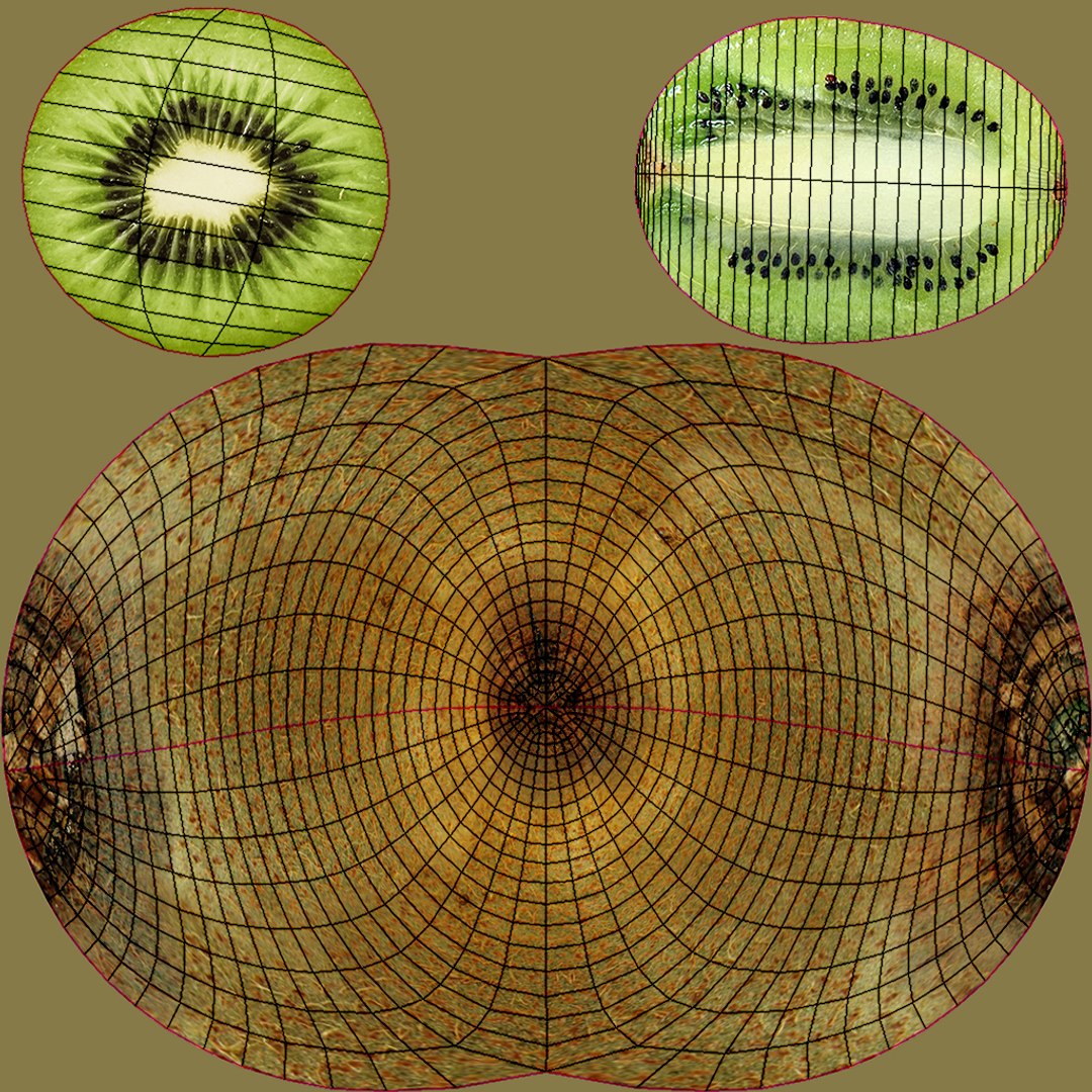 Kiwi 3D https://p.turbosquid.com/ts-thumb/km/YDxwsK/m1/kiwi11/jpg/1770672196/1920x1080/fit_q87/513341852406b71f8cb8692a895aec88f53c3b90/kiwi11.jpg