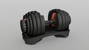 adjustable dumbbells