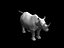 Rhinocéros