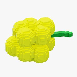 Yellow Grape 3D model