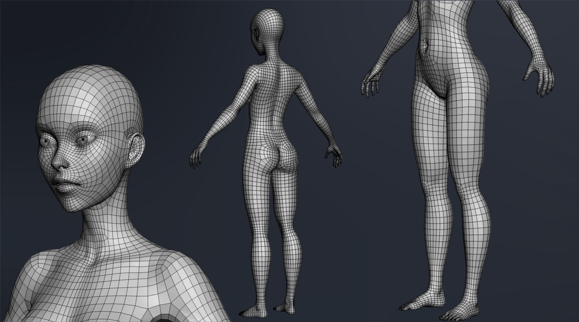 3D Female Basemesh Mesh Model - TurboSquid 1182344