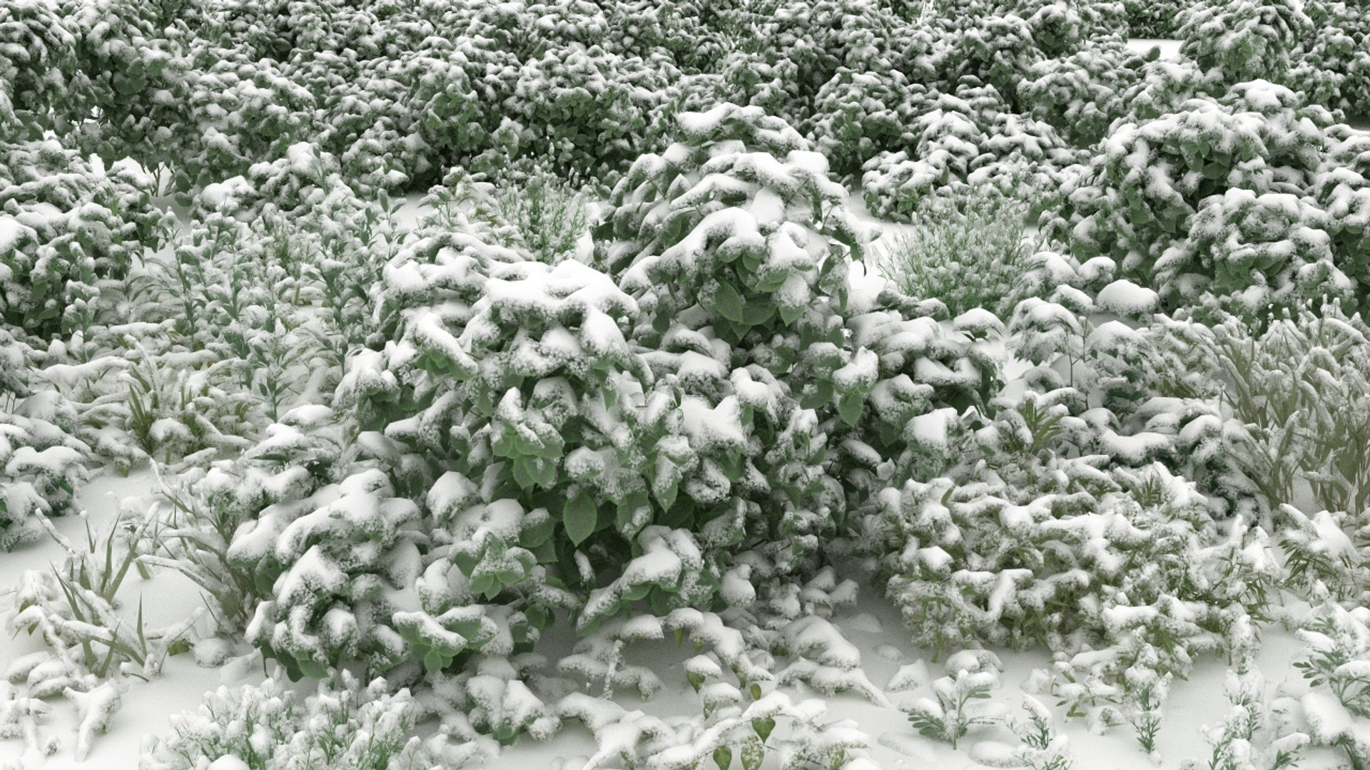 3D 20 grass flowers ground https://p.turbosquid.com/ts-thumb/km/ryf7l5/5t/27/jpg/1637700261/1920x1080/fit_q87/5e51cb2e909c89e3cf2442adeccec2c99fbe7783/27.jpg