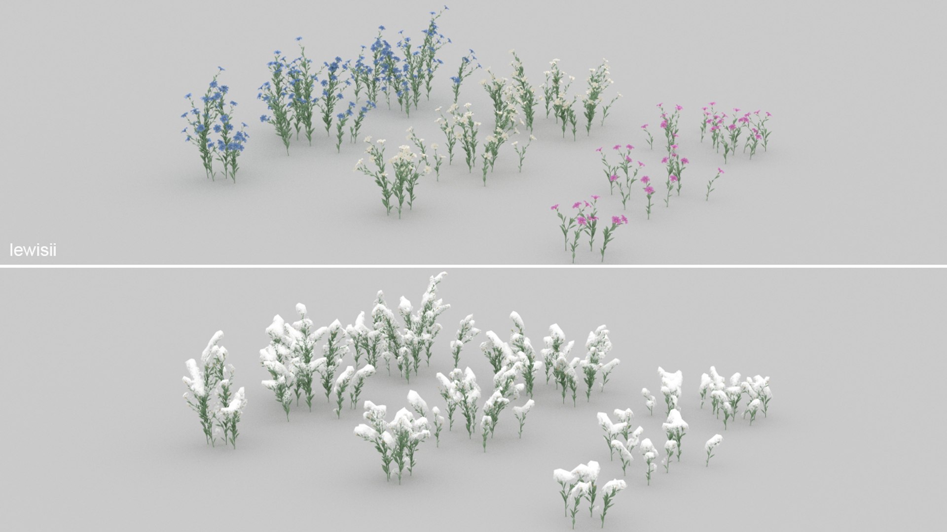 3D 20 grass flowers ground https://p.turbosquid.com/ts-thumb/km/ryf7l5/Vp/23/jpg/1637700214/1920x1080/fit_q87/b9a5bbb260bf494e7ec010467c1299e79e82d9bd/23.jpg