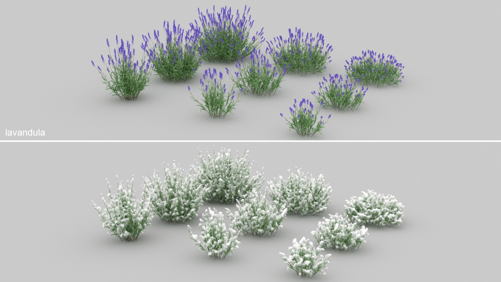 3D 20 grass flowers ground https://p.turbosquid.com/ts-thumb/km/ryf7l5/a5/19/jpg/1637700175/1920x1080/fit_q87/efc87fbbeb70a91287487733bc41c7e5e0f49323/19.jpg