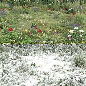 3D 20 grass flowers ground