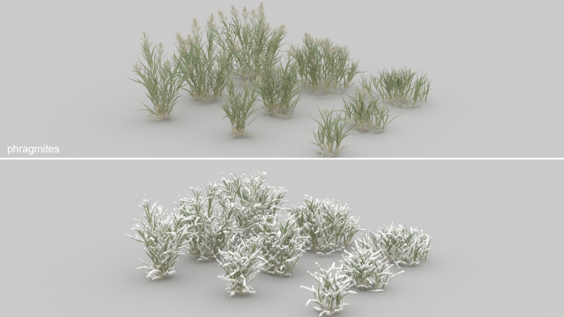 3D 20 grass flowers ground https://p.turbosquid.com/ts-thumb/km/ryf7l5/rY/10/jpg/1637700084/1920x1080/fit_q87/67fb3d79854d9fc3d4dd89d73731dd162f79b08e/10.jpg