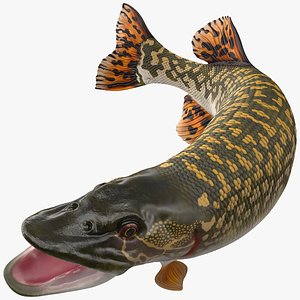pike fish jump pose 3D model
