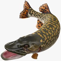 Pike Fish Jump Out Pose