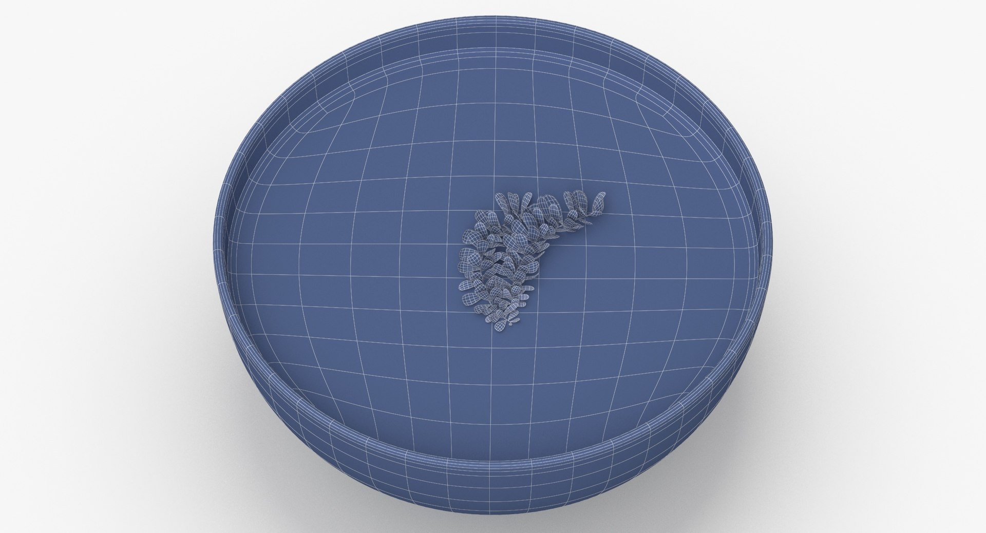 3D tomato soup model https://p.turbosquid.com/ts-thumb/kn/696i0S/Wlk0TBY5/tomato_soup_wireframe_0006/jpg/1605688975/1920x1080/fit_q87/ca944aa4e3d1e25deb41258024f8d801b718e508/tomato_soup_wireframe_0006.jpg