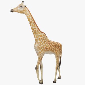 3D Giraffe Animated Wildlife Character model