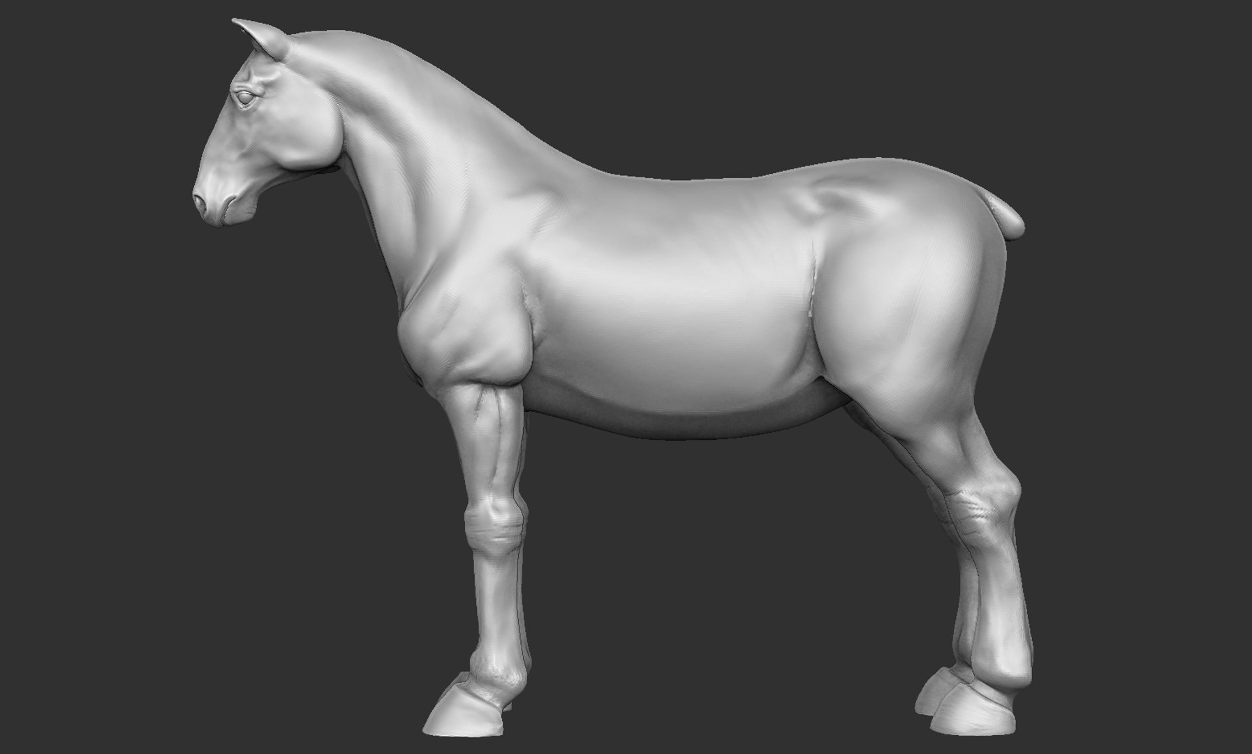3D Model Horse - TurboSquid 1360212
