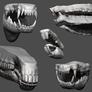 Animal Mouth ZBrush Sculpt Collection