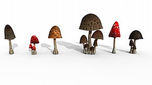 Mushroom plus Emissive Textures PBR Low-poly 3D model 3D model