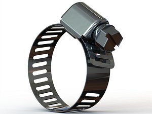 Hose Clamps 1 In 3D model