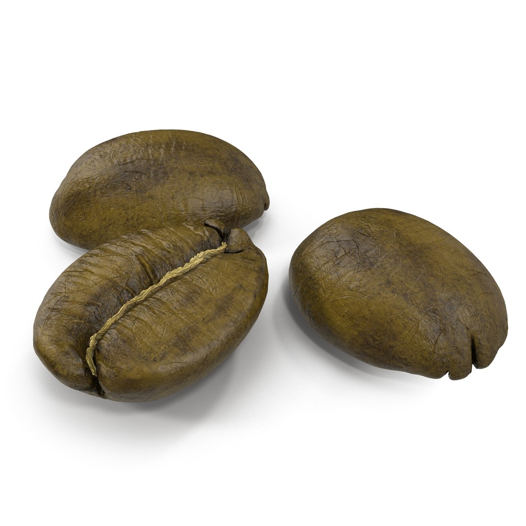 Roasted Green Coffee Bean 3D model preview