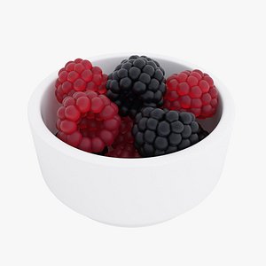 Raspberry and blackberry bowl 3D