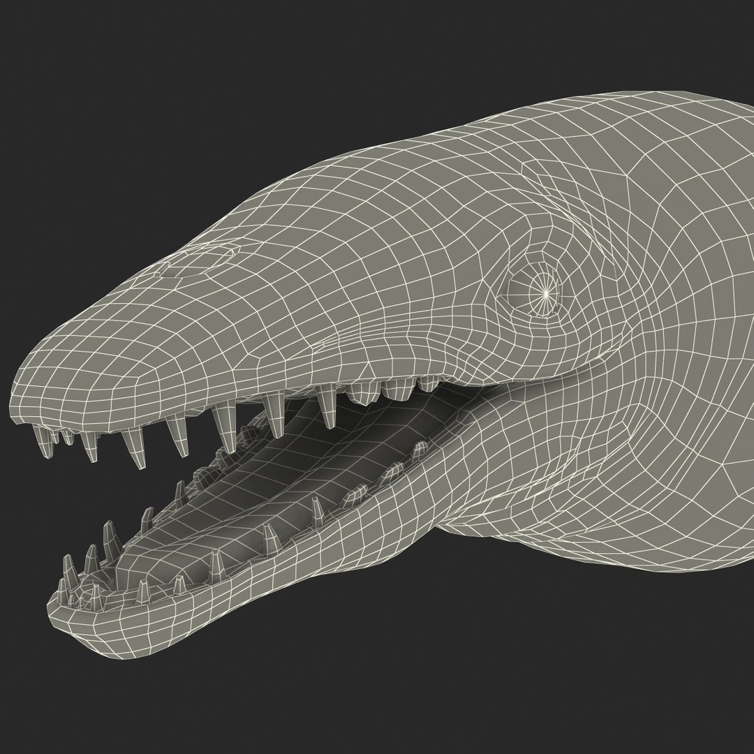 Basilosaurus 3d Max