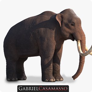 3D mammuthus columbi model