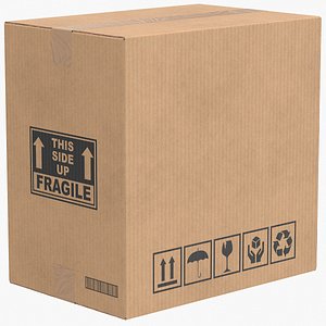 Cardboard Box 5 Closed V1