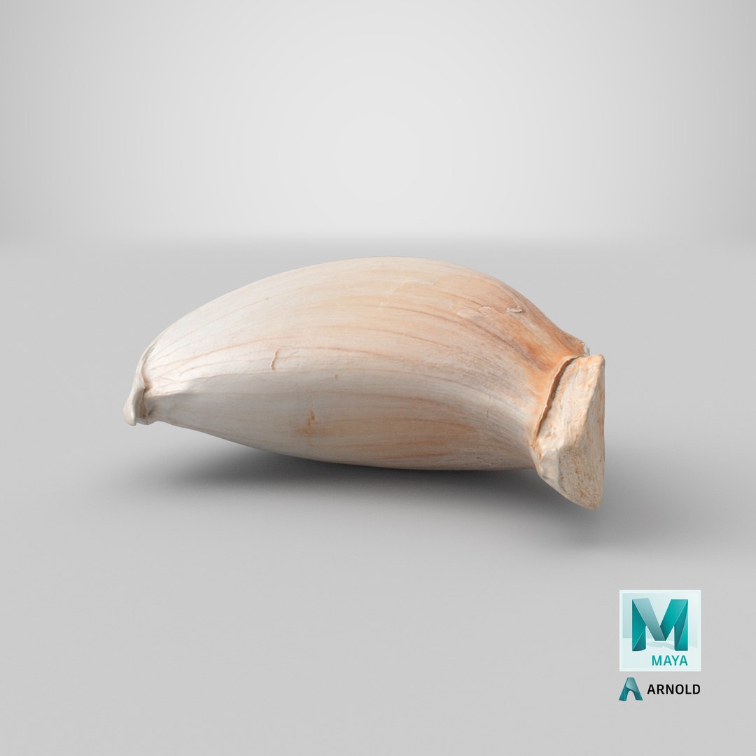 Garlic Clove 03 3D model https://p.turbosquid.com/ts-thumb/ko/ITpgh1/2r/stemcell_maya_arnold_render/png/1639547120/1920x1080/fit_q87/b77eb798ba3f1ce20da480489b3364cc4050bfc2/stemcell_maya_arnold_render.jpg