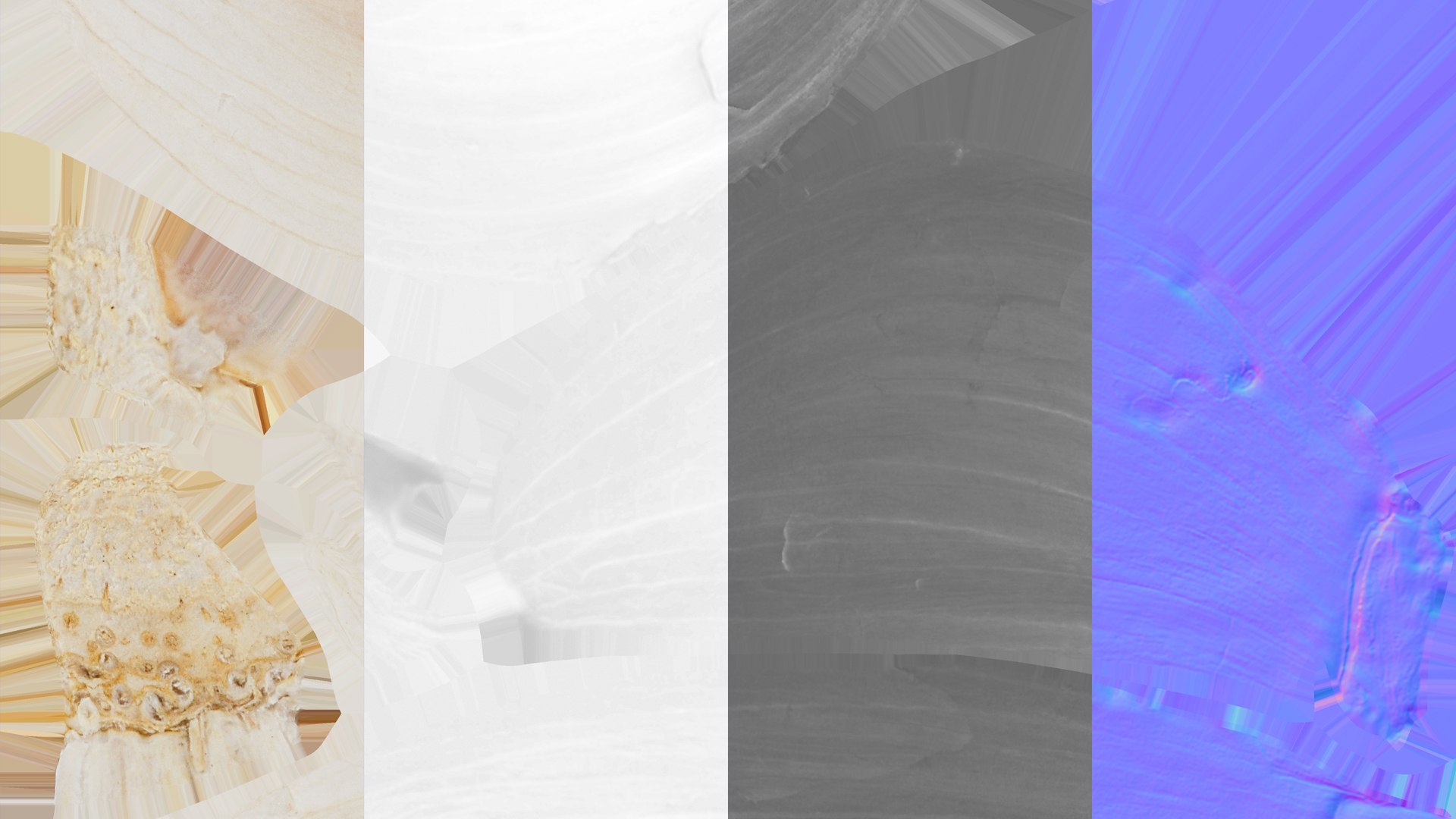 Garlic Clove 03 3D model https://p.turbosquid.com/ts-thumb/ko/ITpgh1/3i/garlicclove03_f0005/jpg/1638385403/1920x1080/fit_q87/59fa74465b621e88034d2674a42510448623abcb/garlicclove03_f0005.jpg
