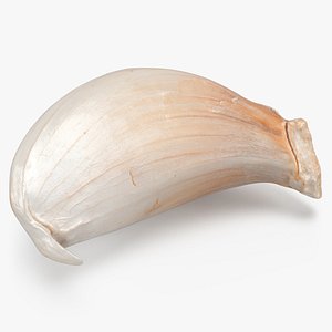 Garlic Clove 03 3D model