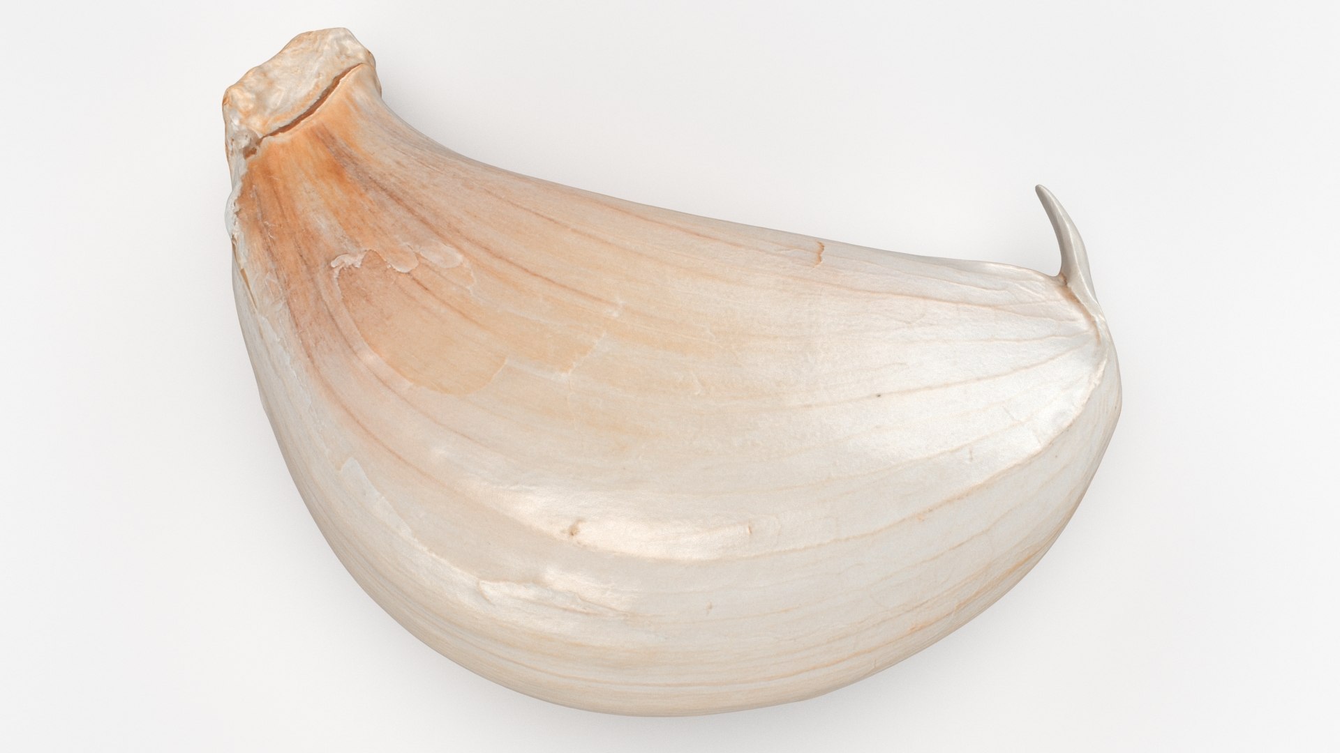 Garlic Clove 03 3D model https://p.turbosquid.com/ts-thumb/ko/ITpgh1/If/garlicclove03_b0012/jpg/1638385452/1920x1080/fit_q87/c511498d5eddf0ac2a5f0dacf941fd48c5734f8d/garlicclove03_b0012.jpg