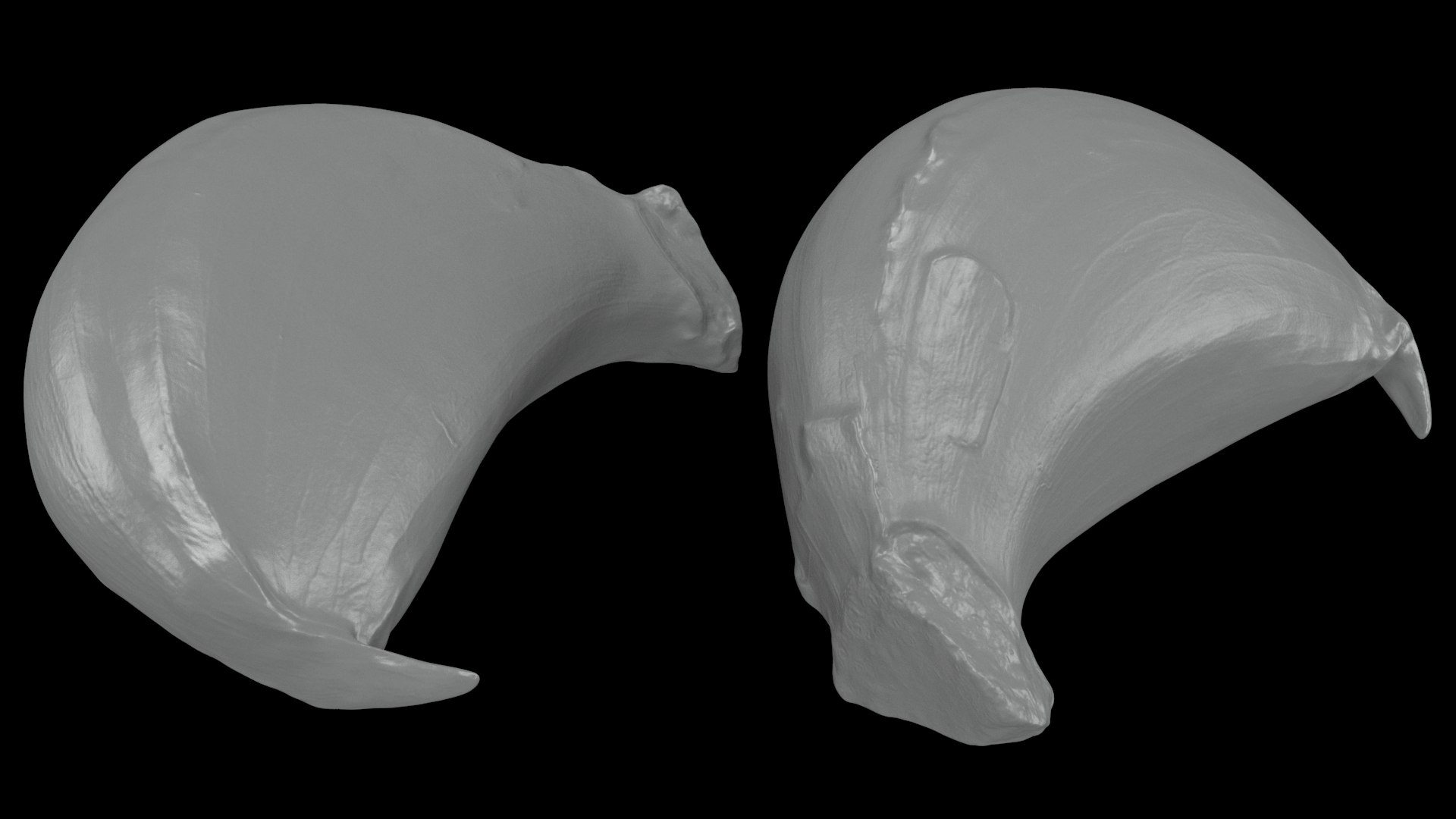 Garlic Clove 03 3D model https://p.turbosquid.com/ts-thumb/ko/ITpgh1/P3/garlicclove03_a0003/jpg/1638385385/1920x1080/fit_q87/b41c5ab202737a1a1e1259446d60c1b35f0a72d1/garlicclove03_a0003.jpg