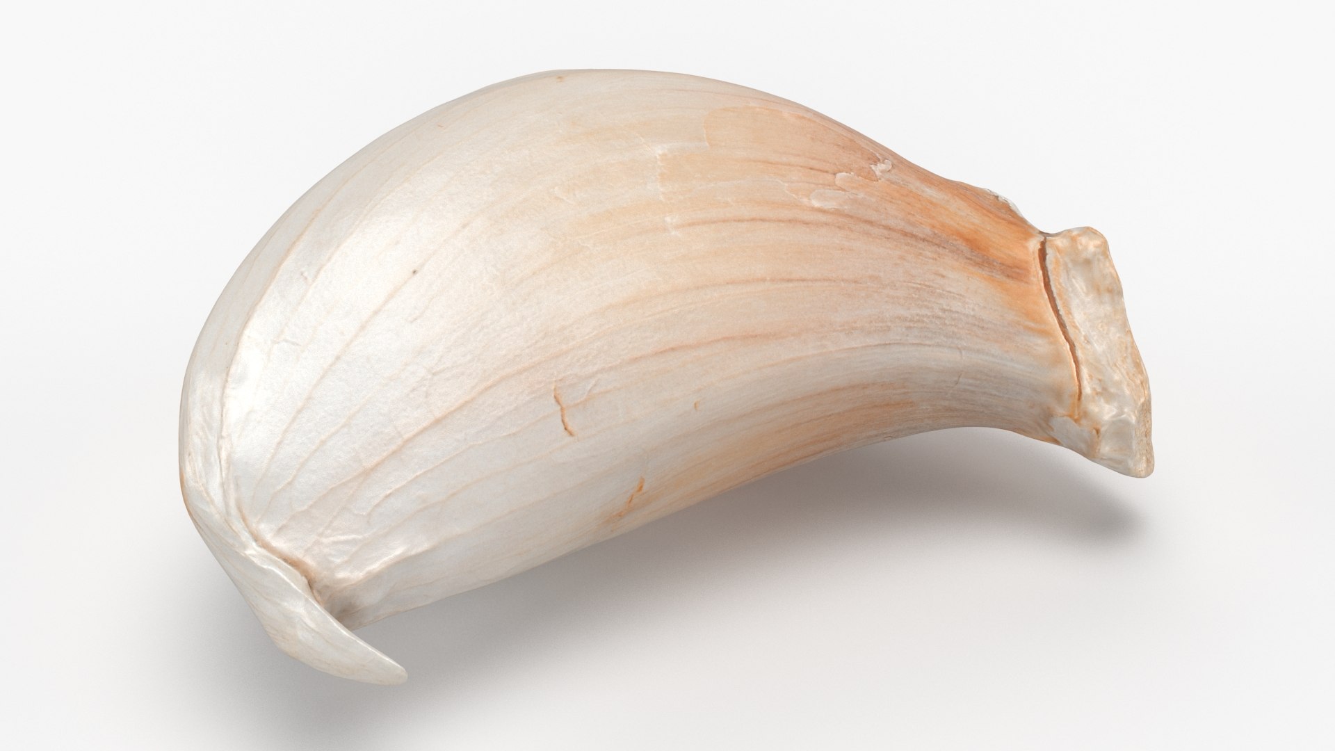 Root Vegetables Collection 3 3D https://p.turbosquid.com/ts-thumb/ko/ITpgh1/Pr/garlicclove03_a0001/jpg/1638385706/1920x1080/fit_q87/efaabe5e40285af17212d7fccc3f30ebfc3da115/garlicclove03_a0001.jpg