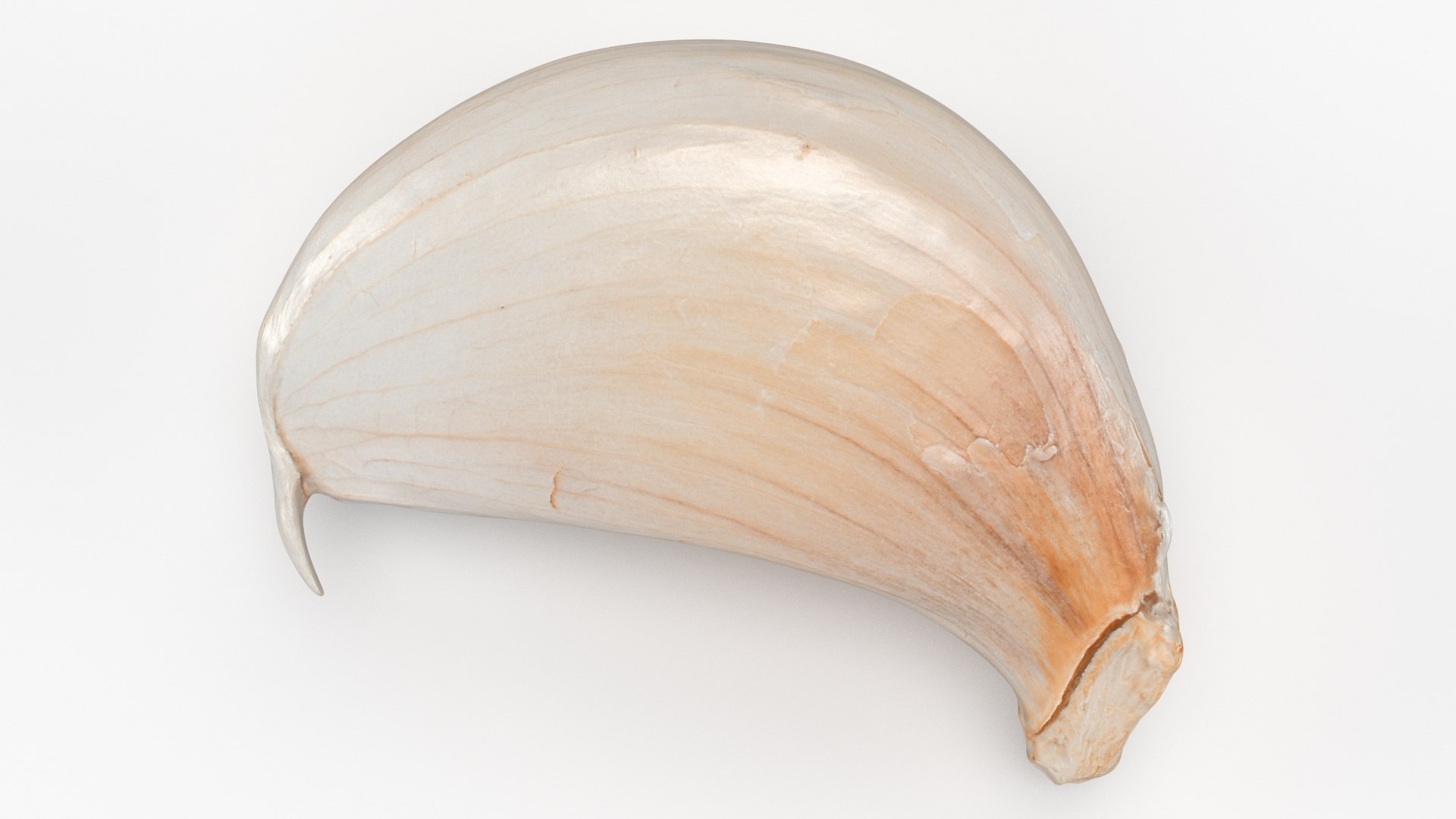 Garlic Clove 03 3D model https://p.turbosquid.com/ts-thumb/ko/ITpgh1/Zj/garlicclove03_b0002/jpg/1638385422/1920x1080/fit_q87/1ac8bf888276bc8468b53b94f194289079449ab1/garlicclove03_b0002.jpg
