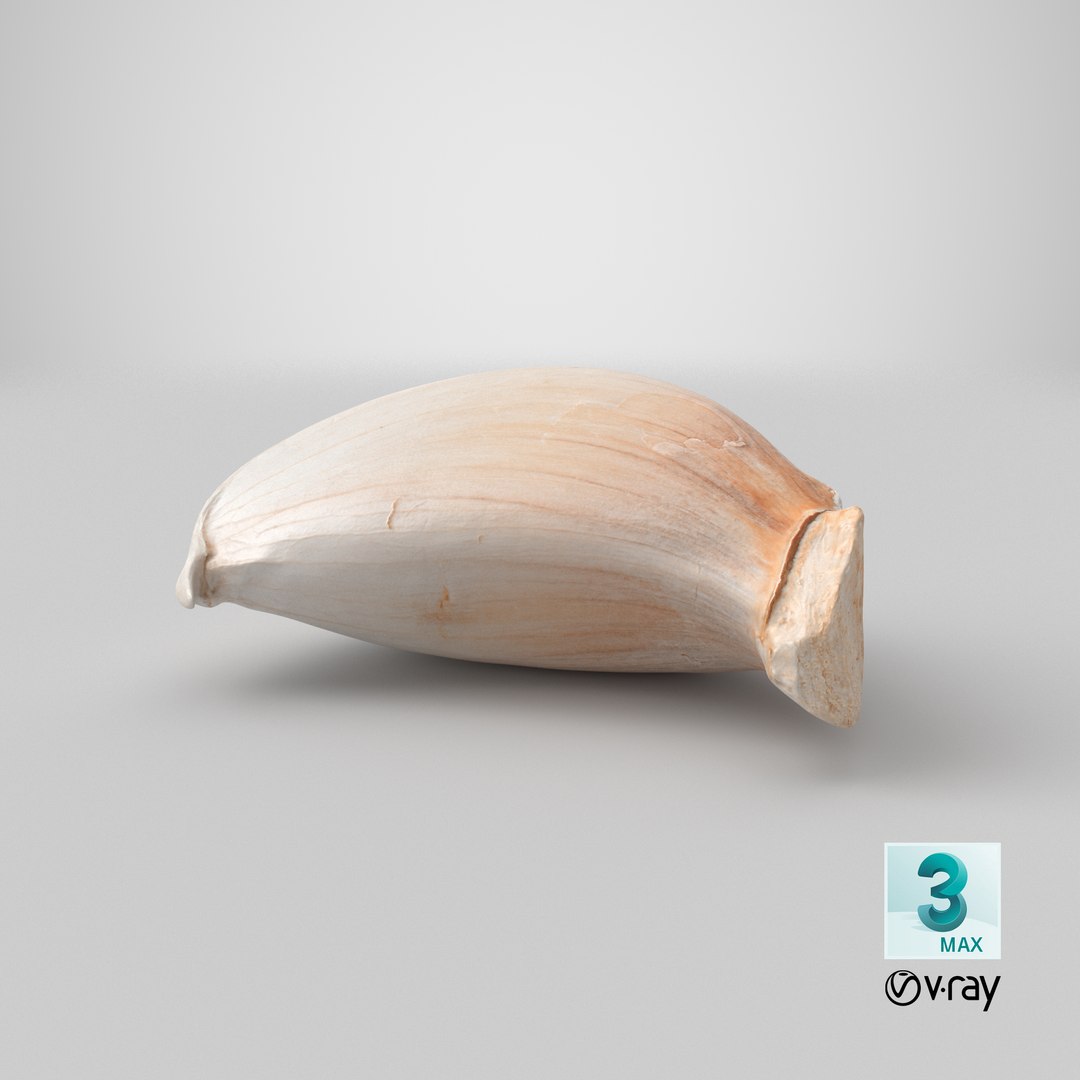 Garlic Clove 03 3D model https://p.turbosquid.com/ts-thumb/ko/ITpgh1/bQ/stemcell_max_vray_render/png/1639547119/1920x1080/fit_q87/9c8d056ae31ac9fa934e51e250c8cddded6e7804/stemcell_max_vray_render.jpg