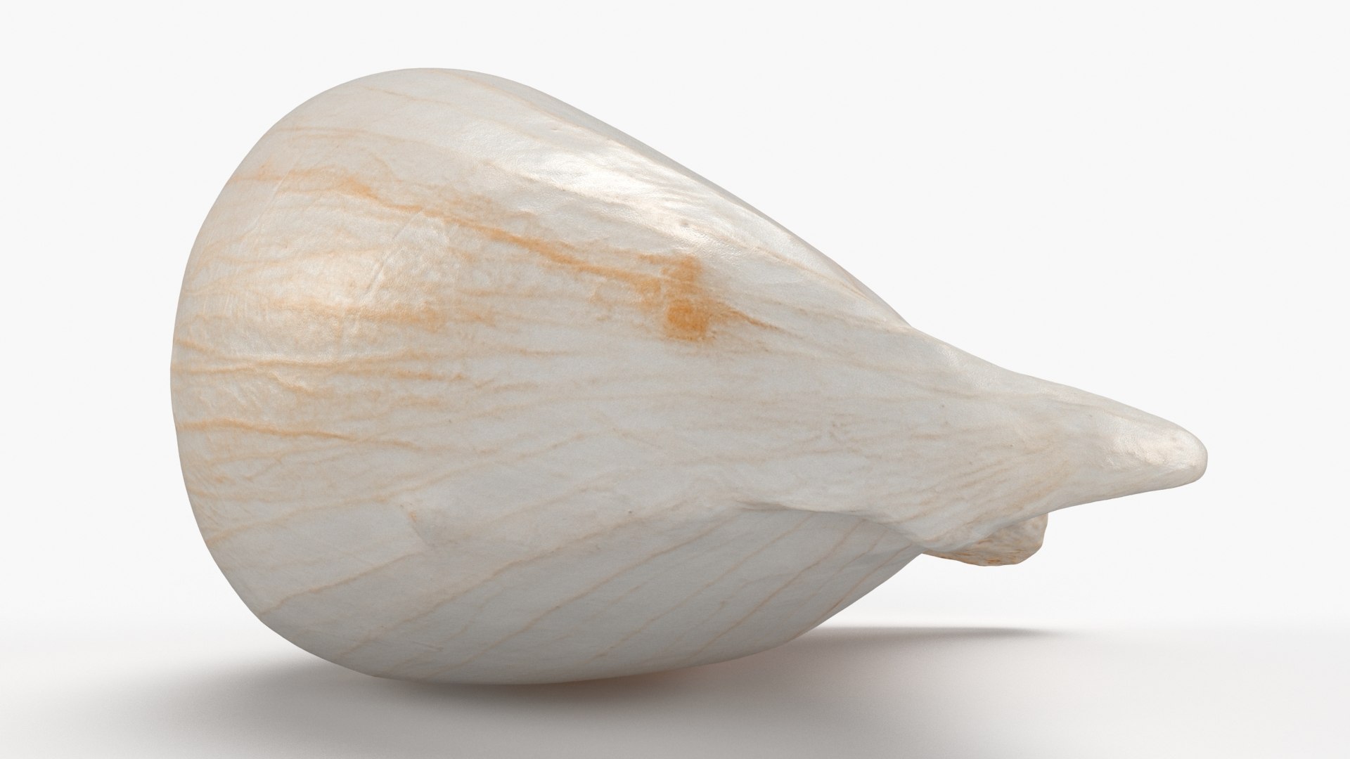 Garlic Clove 03 3D model https://p.turbosquid.com/ts-thumb/ko/ITpgh1/dV/garlicclove03_b0014/jpg/1638385465/1920x1080/fit_q87/5a25382067f585820ad543ae5220e522da76fa9a/garlicclove03_b0014.jpg