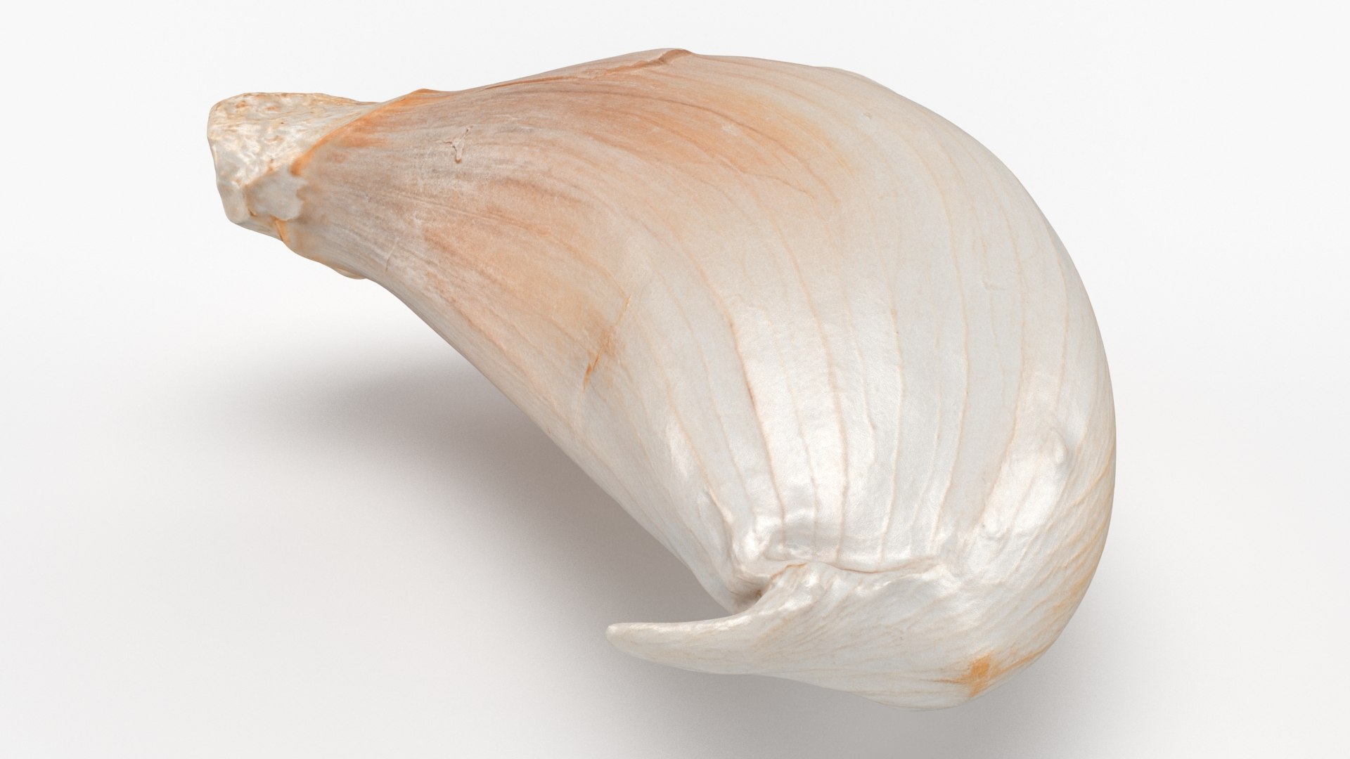 Garlic Clove 03 3D model https://p.turbosquid.com/ts-thumb/ko/ITpgh1/gt/garlicclove03_b0017/jpg/1638385469/1920x1080/fit_q87/7ad2993f2f1b2a55fa19185d132805beaf0c78a7/garlicclove03_b0017.jpg