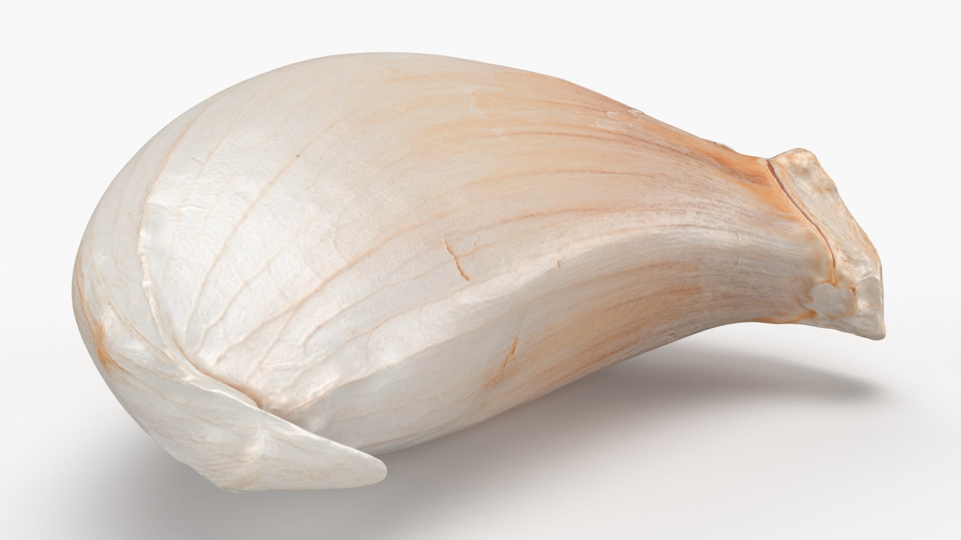 Garlic Clove 03 3D model https://p.turbosquid.com/ts-thumb/ko/ITpgh1/me/garlicclove03_b0006/jpg/1638385494/1920x1080/fit_q87/336a48b7c48984a7b3b67a946a16e8eba0faf70c/garlicclove03_b0006.jpg
