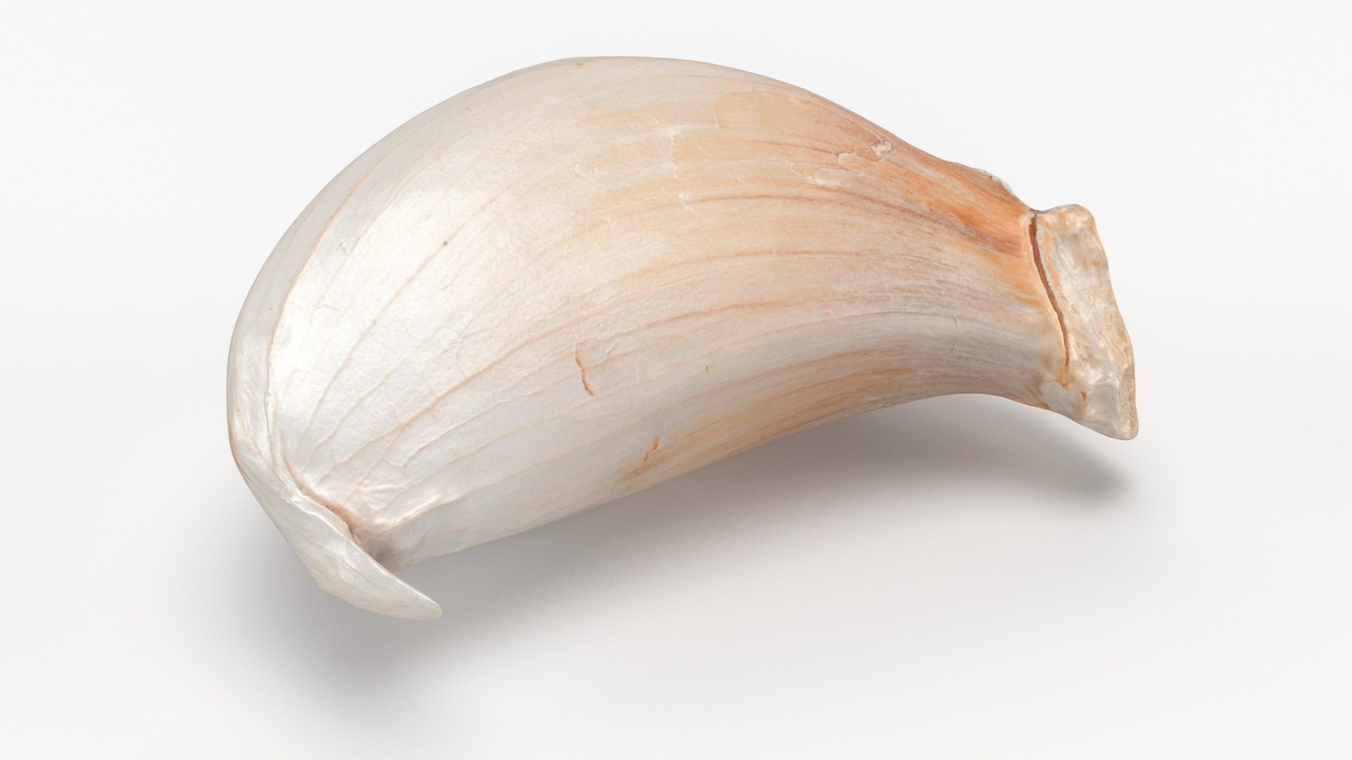 Garlic Clove 03 3D model https://p.turbosquid.com/ts-thumb/ko/ITpgh1/sa/garlicclove03/jpg/1638385387/1920x1080/turn_fit_q99/270842466fbd6ac52f82be616bb78781add3979e/garlicclove03-1.jpg
