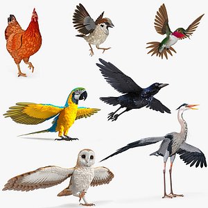 Rigged Birds Collection 4 for Cinema 4D