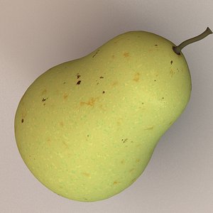 fruit pear 3d model