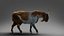 Fur Goat 01 Rigged in Blender