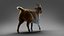 Fur Goat 01 Rigged in Blender
