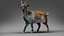 Fur Goat 01 Rigged in Blender