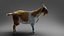 Fur Goat 01 Rigged in Blender