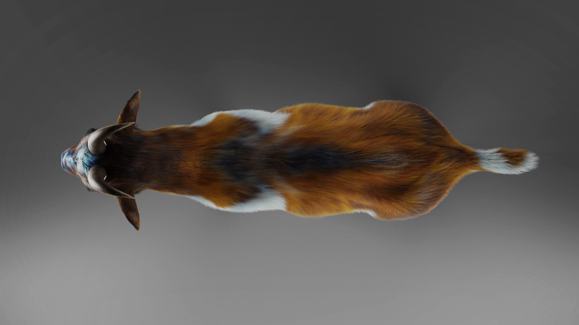 3D model Fur Goat 01 Rigged in Blender https://p.turbosquid.com/ts-thumb/ko/ZK1L9N/gb/04/jpg/1660543221/1920x1080/fit_q87/19df8f700f65537d7acb42ee7400b514431dab3d/04.jpg
