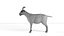 Fur Goat 01 Rigged in Blender