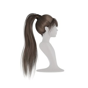 Realistic Woman High Ponytail Long Hair