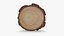 Fette di legno