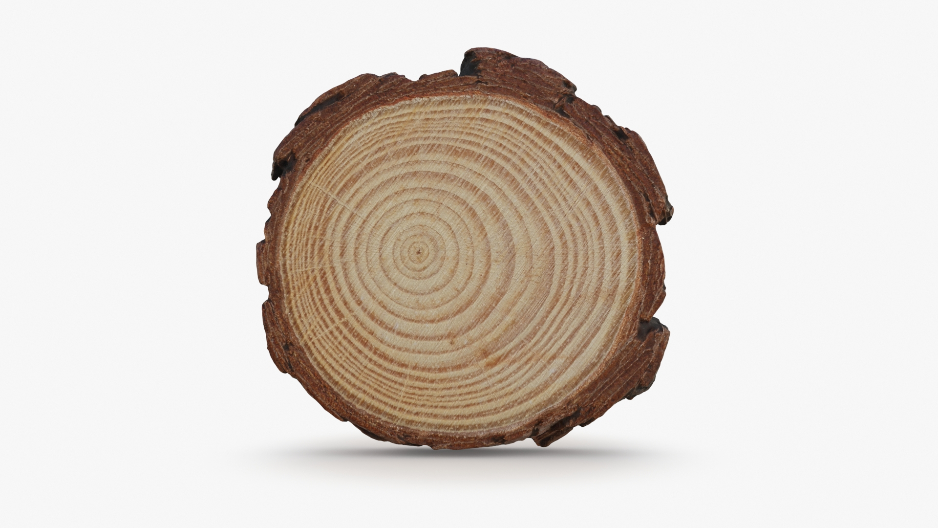 Wood Slices 3D model https://p.turbosquid.com/ts-thumb/ko/mgJtRN/5R/woodslice/jpg/1728754899/1920x1080/turn_fit_q99/4f0a7d724a2e6718a11b33cd1268f184097c4ff2/woodslice-1.jpg