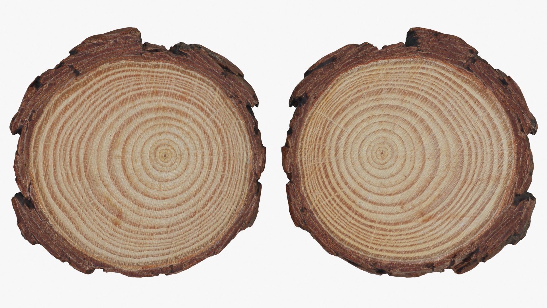 Wood Slices 3D model https://p.turbosquid.com/ts-thumb/ko/mgJtRN/II/woodslice_b0025/jpg/1729071739/1920x1080/fit_q87/838d0f9bde04d57d156c11ec7552d935d2c7a809/woodslice_b0025.jpg
