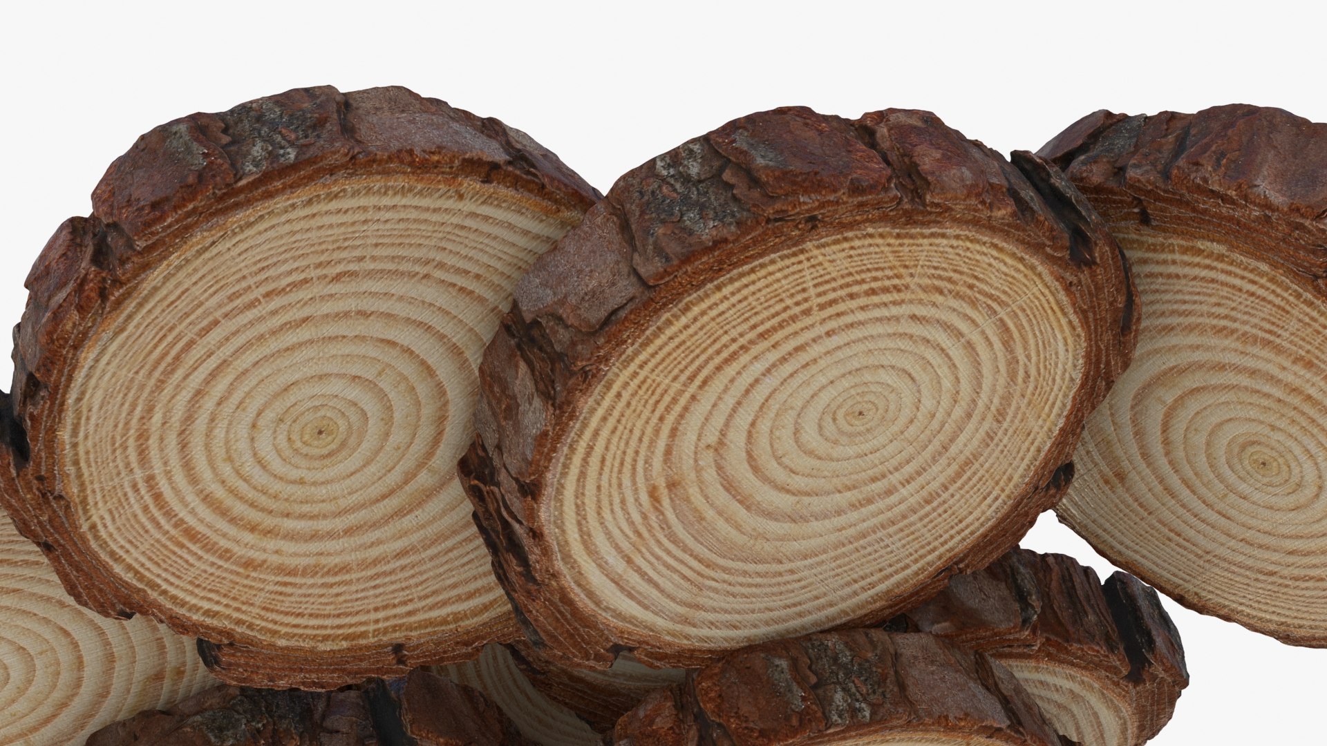 Wood Slices 3D model https://p.turbosquid.com/ts-thumb/ko/mgJtRN/Oq/woodslice_b0024/jpg/1729071741/1920x1080/fit_q87/a5cc323598b6ee66d777df9a07913482f1c23113/woodslice_b0024.jpg