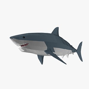 3D shark fish model