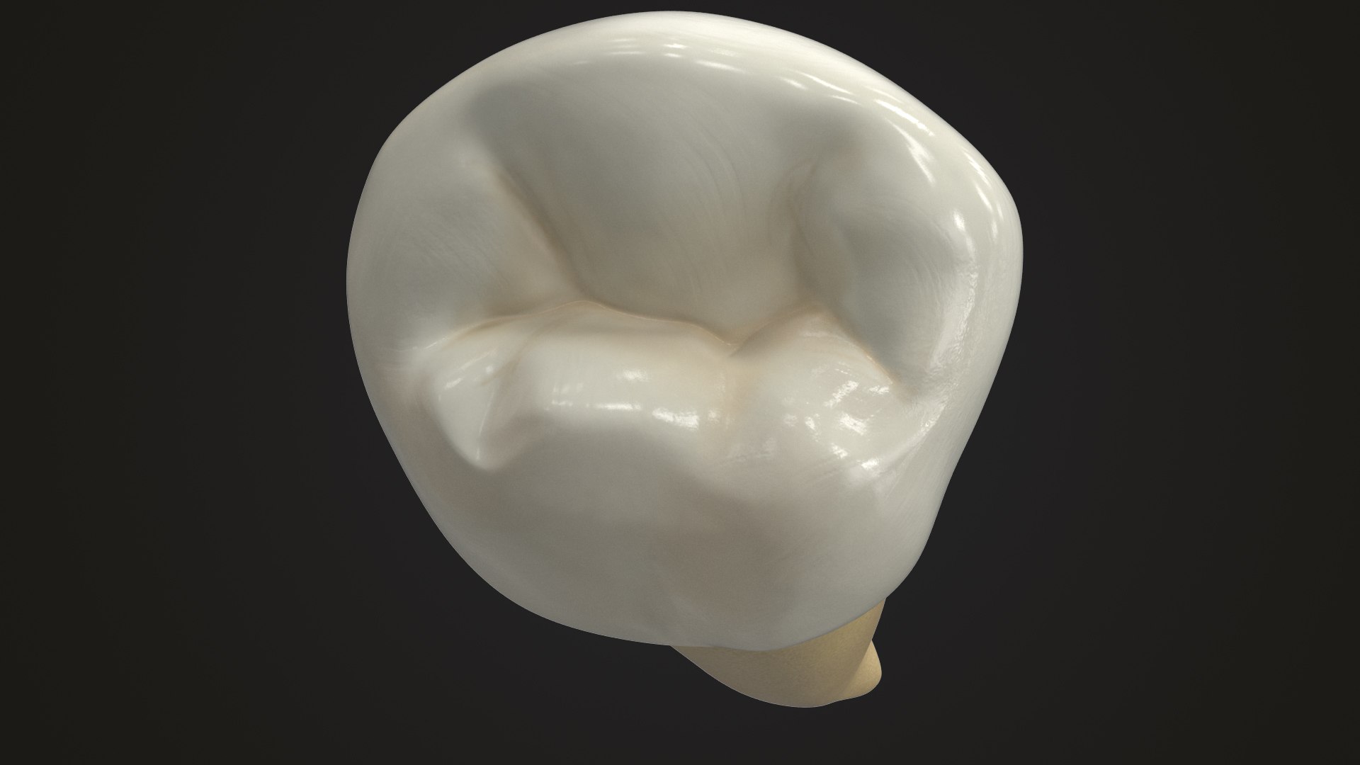 3D human teeth lower second model https://p.turbosquid.com/ts-thumb/ko/q3125K/O95p9W9f/lowersecondpremolar_render_color0007/jpg/1588533149/1920x1080/fit_q87/2ec3f514dbb5f9f775f93d72ec8dc0266cf40ac8/lowersecondpremolar_render_color0007.jpg